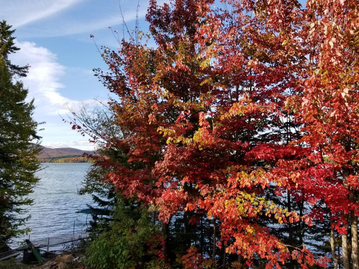 La Parade Du Huard - Lac Et Spa Saint Sebastien 外观 照片